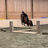 jorle_equestrian.2011