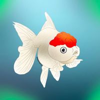 fishplanet.2