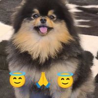 taejktb