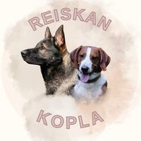 reiskankopla