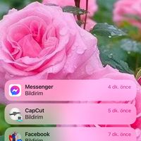 emre_esma_gunayeminpembe