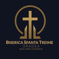 original sound - Sfanta Treime Oradea