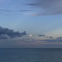 Taweel Al shawq slowed