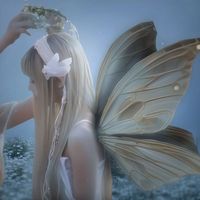 _soso_097