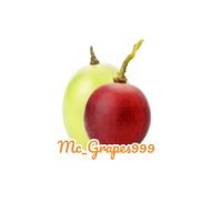 mc_grapes999