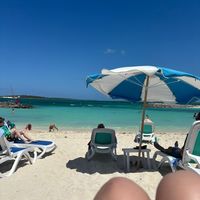 user56272_ywi
