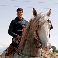 azzeddine_medioun