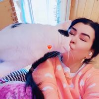 alide.16