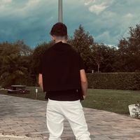 6.leonardo_