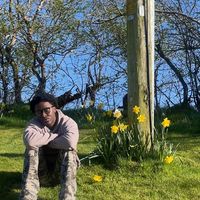 Melodian by Nello MXL