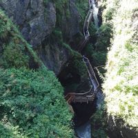 natureinaustria