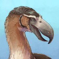 placid.palaeontologist