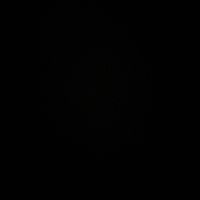 nsaaks