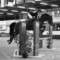 equstrian_emilie