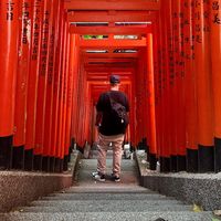 ninjasavagegaming