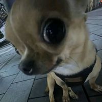 eyoz_is_the_best
