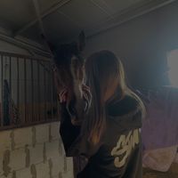 rimante_eq