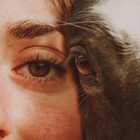 bettyboopdecandiez