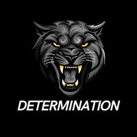 determination2958
