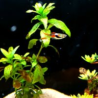 aqua_motion295