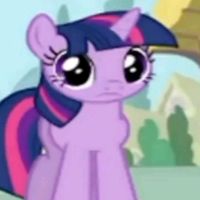 signalbonaesignalbonae_