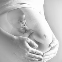 πρωτότυπος ήχος