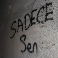 oldurmez.seni.ask