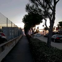 rqndom.things._