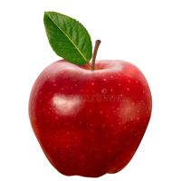 iphonemilanoit7