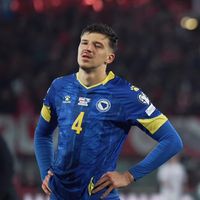 tarikmuharemovic5