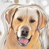labik_buddy