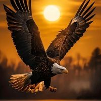 golden_eagle37