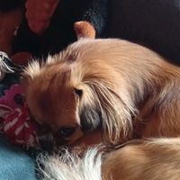 sonja.ratajczak