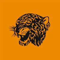 hullcity