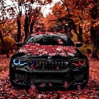 son original - Hako Cars