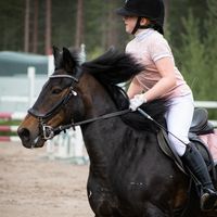 alkuperäinen ääni