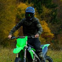 dano_risko