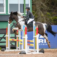 kmwd.equine