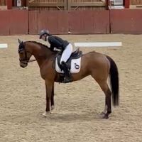 jedressage