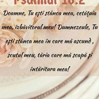 sunet original