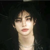 ari_skz_stay_143