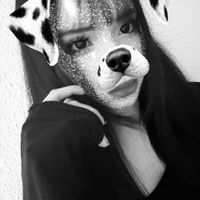 reibvz