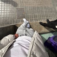 dealscesarugc
