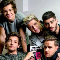 lover_directioner