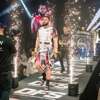 adrianlupsefinalboss