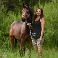 deinpferd.com