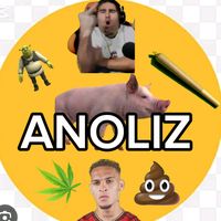 anoliz911