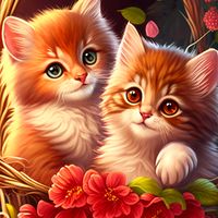 zeynoush12