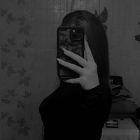 dodispamm15