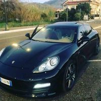 pedro_tiger_milanese